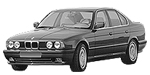 BMW E34 B213E Fault Code